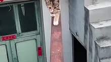 差点没命了