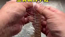 没想到鱼骨头还有这么大的作用