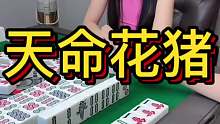 天明花猪