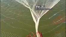 这真是天罗地网