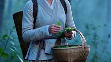 采药女拒王爷纳妾