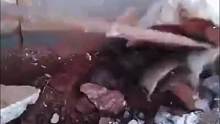这可真是捅到老鼠窝了、直接一锅端