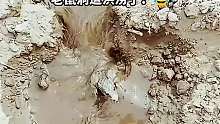 老鼠：你是真狗啊