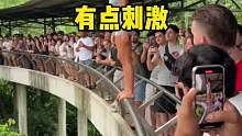 估计旁边的人都为他捏把汗