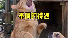 谁知道得到的结果却不一样