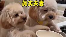 估计等会都要被气晕吧