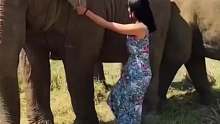 小姐姐在缅甸想和大象合影，大象暖心主动递上台阶