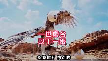一世鹰名，毁于一蛋，这老鹰够悲催的
