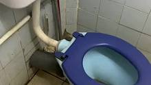去马来西亚旅行的要注意了，一定要检查马桶……