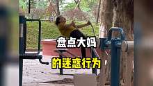 当代的大妈们一举一动真是让我们无法理解