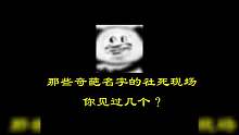 这些名字起的是真上头啊，哈哈哈哈
