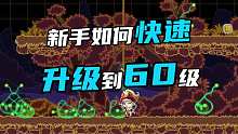 新手如何快速升级到60级