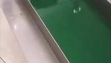 一个小设计直接省了多少人力