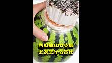 假如一颗大西瓜一次性抽100支烟，它的内部会发生怎样的变化？