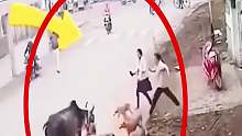 男子家门口遭公牛袭击，牛脾气上来谁也挡不住！