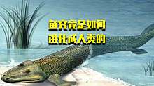 人真的是由鱼进化而来的吗？这个过程可能需要5亿年之久