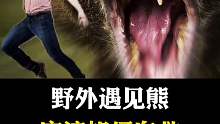 野外遇见熊，我们应该如何自救