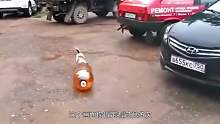 什么是啤酒周转桶，一言不合就原地爆炸！你知道原理吗