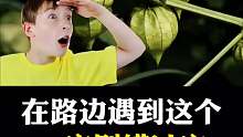在路边遇到这个，一定不要错过它！
