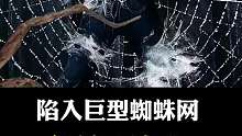 陷入巨型蜘蛛网，应该如何自救