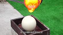 1500度的高温熔岩，是否能将鸵鸟蛋烤熟吗