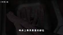 鸭子5个毒素最重的部位，专家建议要少吃，你吃过几个02