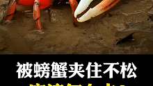 被螃蟹夹住该怎么处理？