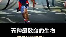 这些生物太可怕了，竟然是地球上最要命的生物
