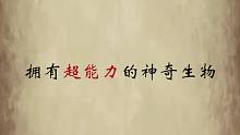动物界的这些超能力拥有者，个个都像开了挂