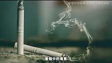 国家这次要动真格了，3亿烟民即将受到管控02