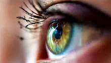 眼睛里的恐怖寄生虫