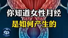 女性生理期是这样产生的，你知道了吗？
