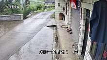 缺德，男子过路躲雨，离开时竟把主人家晾晒的瓜皮踢到雨里