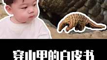 穿山甲的遭遇真的太残忍了