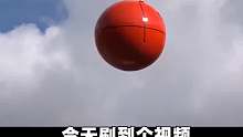这不是求偶的极乐鸟吗？