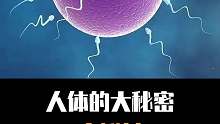 人体的大秘密你知道多少？
