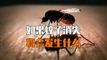 假如蚊子消失了
