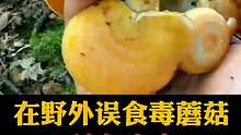在野外误食毒蘑菇。该怎么办？