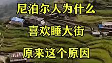 尼泊尔人为什么喜欢睡大街，原来这个原因