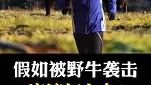 记住，千万不要去恐吓野牛