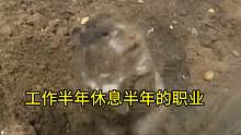 有什么职业可以做半年休息半年么！