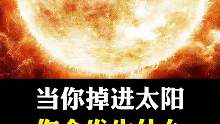 掉进太阳后，会发生什么呢？