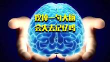 如果挖掉一勺大脑是会丢失一部分记忆，还是会变的更聪明呢？