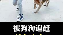 被狗狗追赶时你会怎么做？！