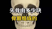头骨有多少块骨骼？