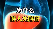 为什么胖人先胖肝
