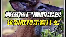美国僵s鹿的出现预示着什么？