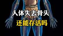 人体失去骨头将会怎样？