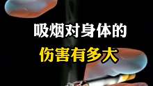 吸烟对身体的危害