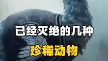 已经灭绝的几种珍稀动物，你知道有哪些吗